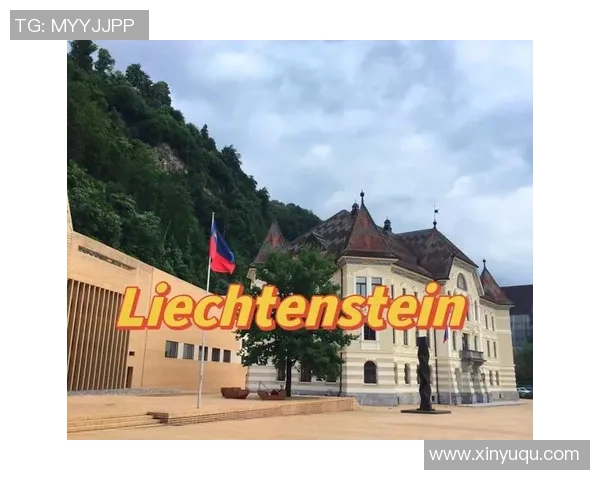 波黑与列支敦士登激战成和双方表现引发球迷热议 波黑与列支敦士登激战成和双方表现引发球迷热议